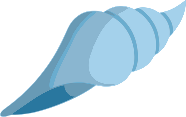 Illustration of Seashell